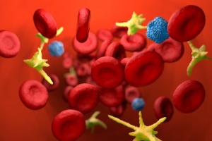 3D Blood Cells